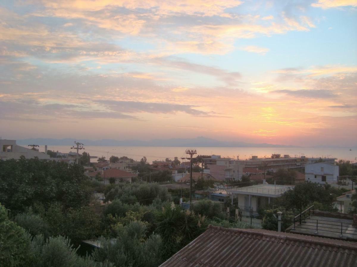 Smile House Near Athens Airport 300M From The Sea Βίλα Αρτέμιδα Εξωτερικό φωτογραφία