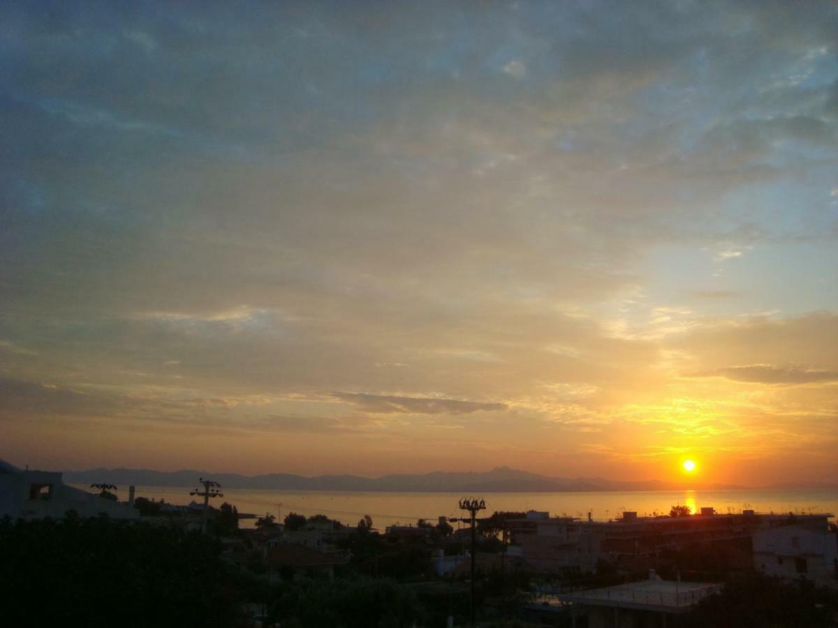 Smile House Near Athens Airport 300M From The Sea Βίλα Αρτέμιδα Εξωτερικό φωτογραφία