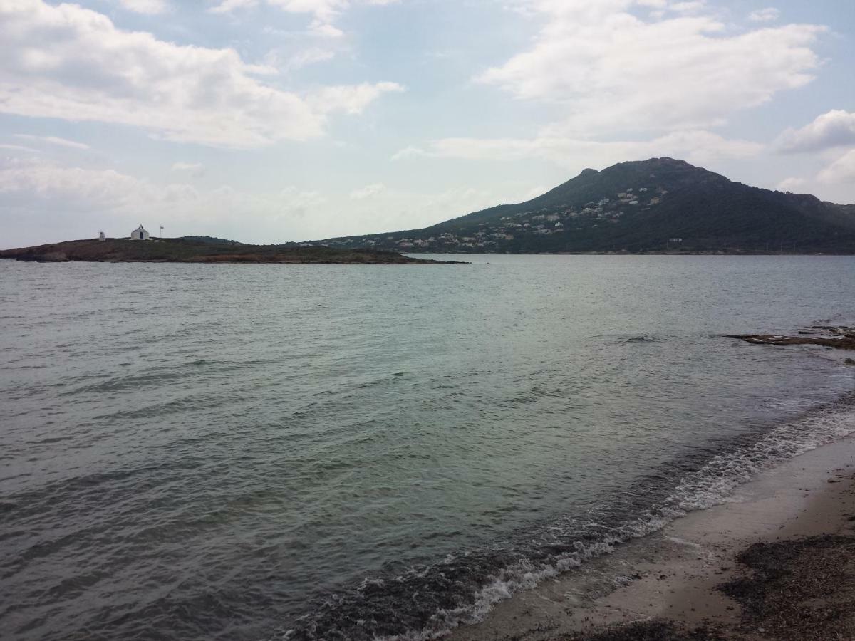 Smile House Near Athens Airport 300M From The Sea Βίλα Αρτέμιδα Εξωτερικό φωτογραφία